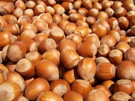 hazelnuts