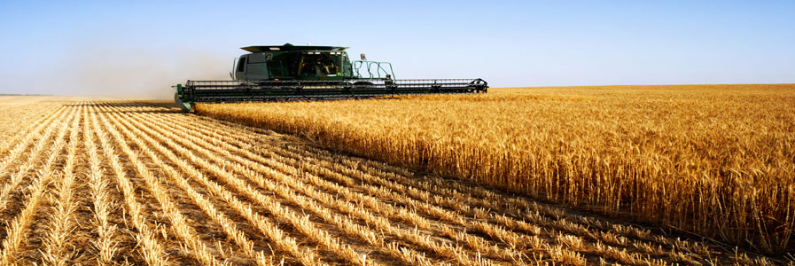 Agriculture
