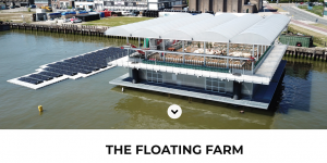 Floating Farm